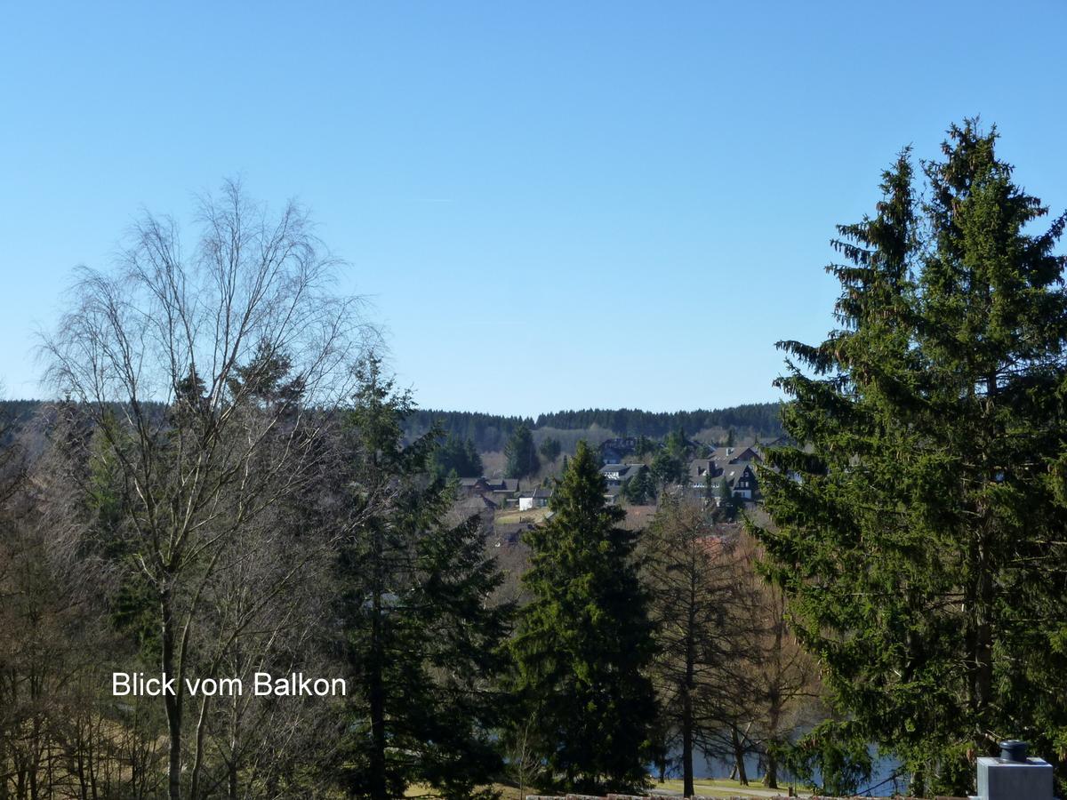 Ferienwohnung Weitblick Am Kurpark Braunlage Ngoại thất bức ảnh